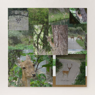 Quebra-cabeça de Colagem: Deer de Provedação