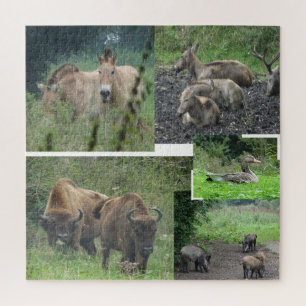 Quebra-cabeça de Colagem: Parque Natural de Lelyst