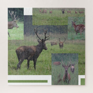 Quebra-cabeça de Colagem: Parque Natural Lelystad 