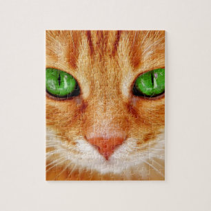 QUEBRA-CABEÇA DE COZINHA DE GATO DE LARANJA GINGE
