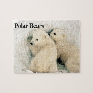 Quebra-cabeça de Cubos de Urso Polar