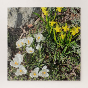 Quebra-cabeça de Daffodils & Crocus Jigsee