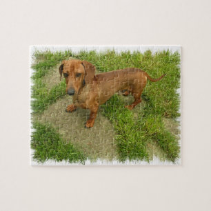 Quebra-cabeça de Daschund