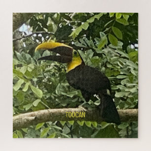 Quebra-cabeça de Design da Costa Rica com Throated