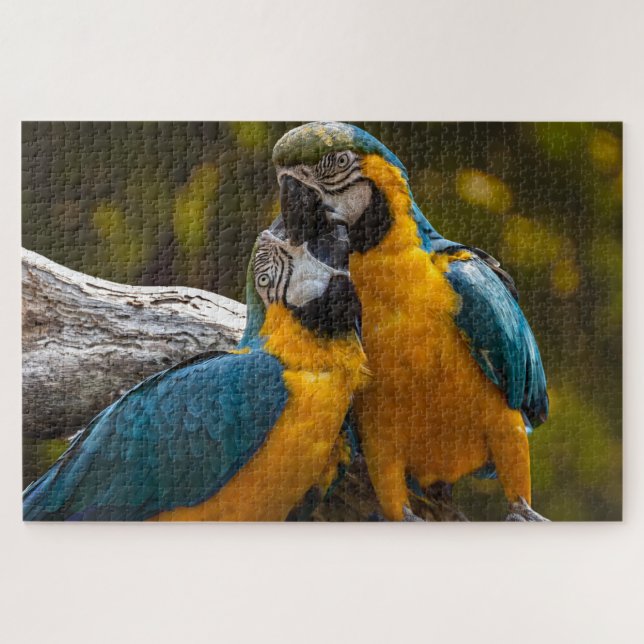 Quebra-cabeça de dois papagaios de aves tropicais (Horizontal)