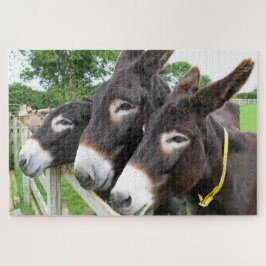Quebra-cabeça de Donkeys Jigsaw