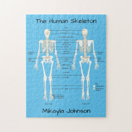 Quebra-cabeça de esqueleto humano rotulado