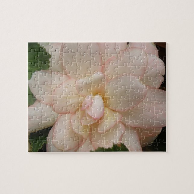 Quebra-cabeça de Flor Branco da Begónia (Horizontal)