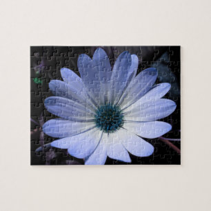 Quebra-cabeça de Flor de Margarida Azul