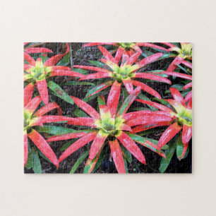 Quebra-cabeça de Flor Havaiano