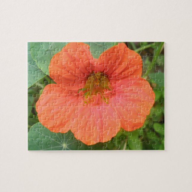 Quebra-cabeça de Flor Nasturtium Laranja (Horizontal)