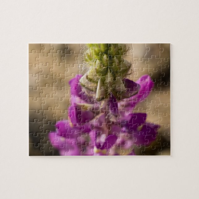 Quebra-cabeça de flor selvagem 4 (Horizontal)