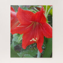 Quebra-cabeça de Flor Vermelho Lilly