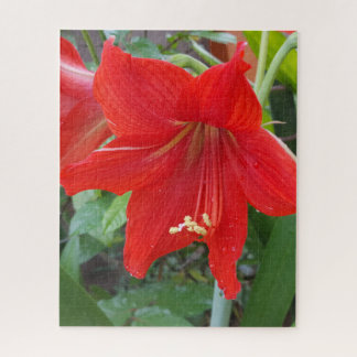 Quebra-cabeça de Flor Vermelho Lilly