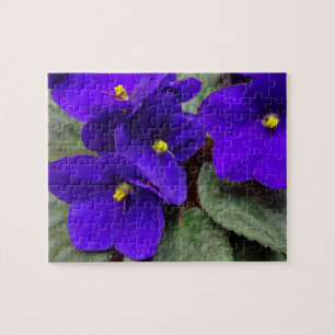Quebra-cabeça de Flor Violeta Africana
