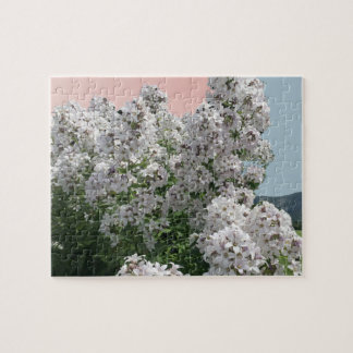 Quebra-cabeça de Flores Brancas em Flor