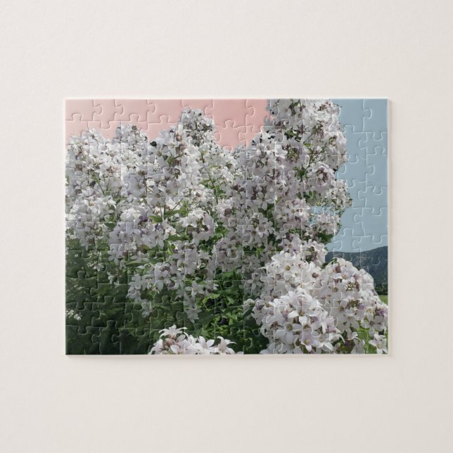 Quebra-cabeça de Flores Brancas em Flor (Horizontal)
