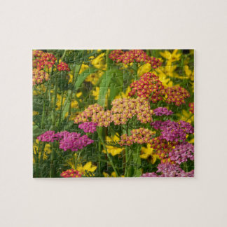 Quebra-cabeça de Flores de Jardim Coloridas
