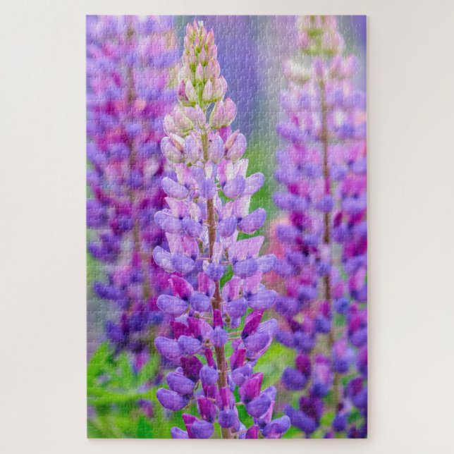 Quebra-cabeça de Flores de Lupino Roxo (Vertical)