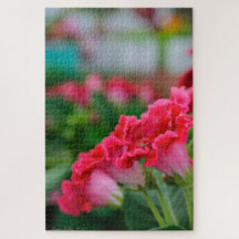 Quebra-cabeça de Flores Rosas