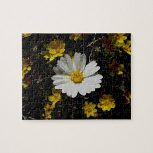 Quebra-cabeça de flores silvestres