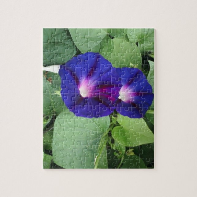 Quebra-cabeça de Foto da Flor de Glória da Manhã (Vertical)