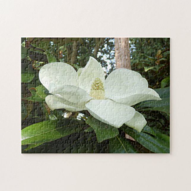 Quebra-cabeça de Foto da Magnólia Grandiflora com  (Horizontal)