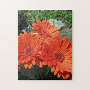 Quebra-cabeça de Foto de Flor Laranja bonito