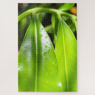 Quebra-cabeça de Foto de Folhas Verdes Tropicais