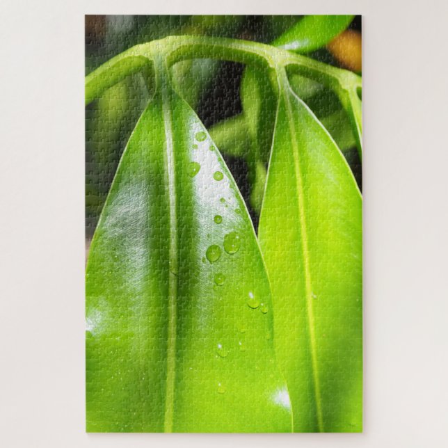Quebra-cabeça de Foto de Folhas Verdes Tropicais (Vertical)