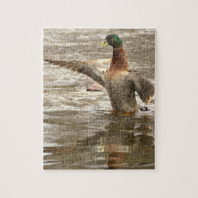 Quebra-cabeça de Foto de Pato-real (Vertical)