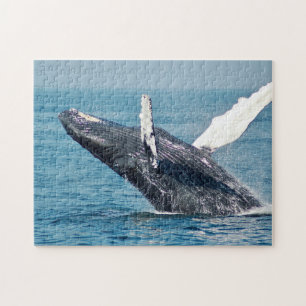 Quebra-cabeça de Foto de Quebra de Baleia Azul