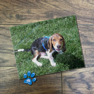 quebra-cabeça de foto personalizada de cachorro
