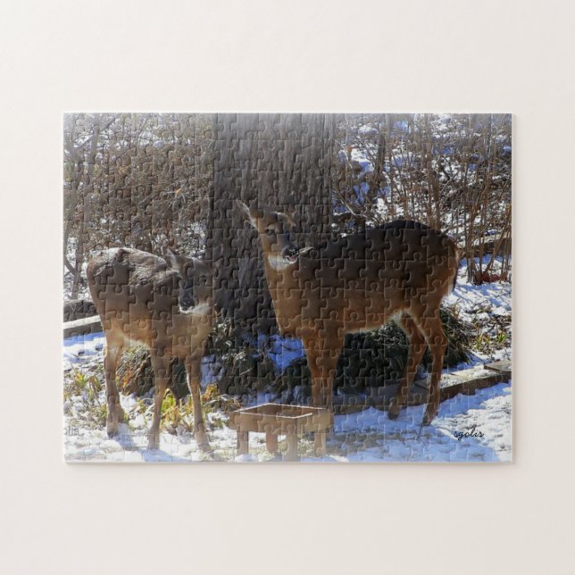Quebra-cabeça de Foto Whitetail Deer 11x14 com Cai (Horizontal)