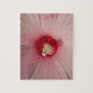 Quebra-cabeça de Fotografia 8x10 rosa Hibiscus 8x1