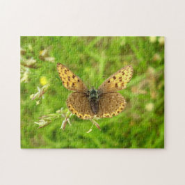 Quebra-cabeça de Fotografia da Borboleta de Cobre