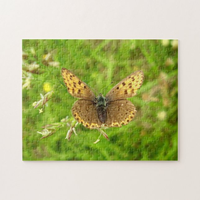 Quebra-cabeça de Fotografia da Borboleta de Cobre (Horizontal)