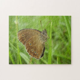 Quebra-cabeça de Fotografia da Borboleta Ringlet c
