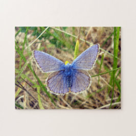 Quebra-cabeça de Fotografia de Borboleta Azul Comu