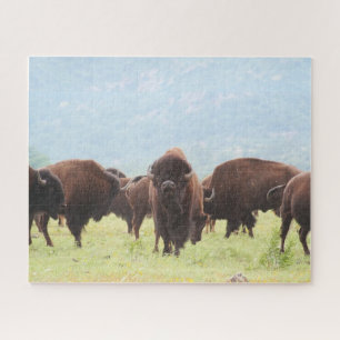 Quebra-cabeça de Fotografia de Buffalo Herd