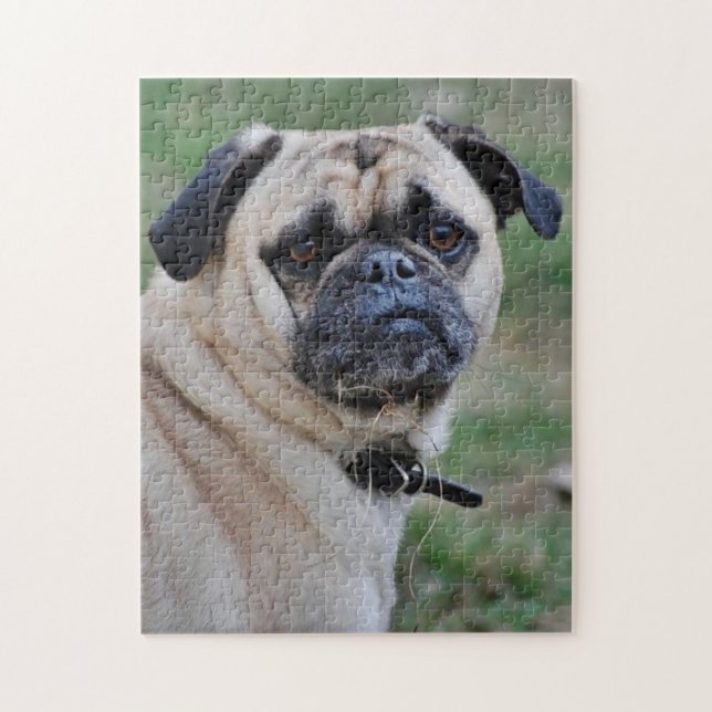 Quebra-cabeça de Fotografia de Pug Adorável (Vertical)