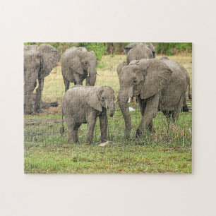 Quebra-cabeça de Fotografia do Elefante Herd