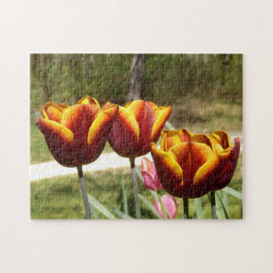 Quebra-cabeça de Fotografias das Tulipas Vermelhas