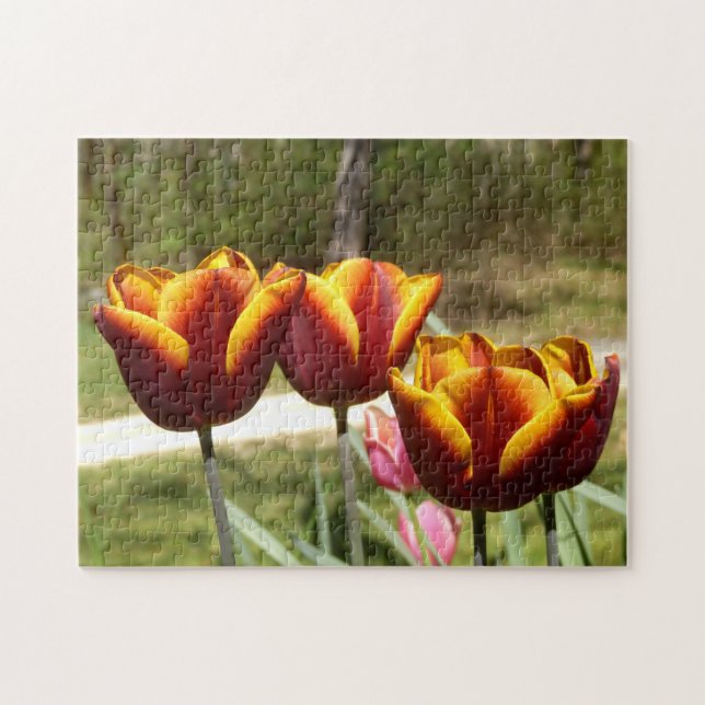Quebra-cabeça de Fotografias das Tulipas Vermelhas (Horizontal)