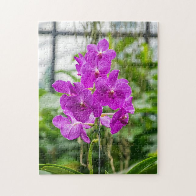 Quebra-cabeça de fotografias de orquídeas (Vertical)