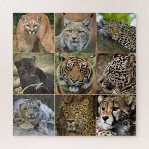Quebra-cabeça de Fotos de Gatos Selvagens