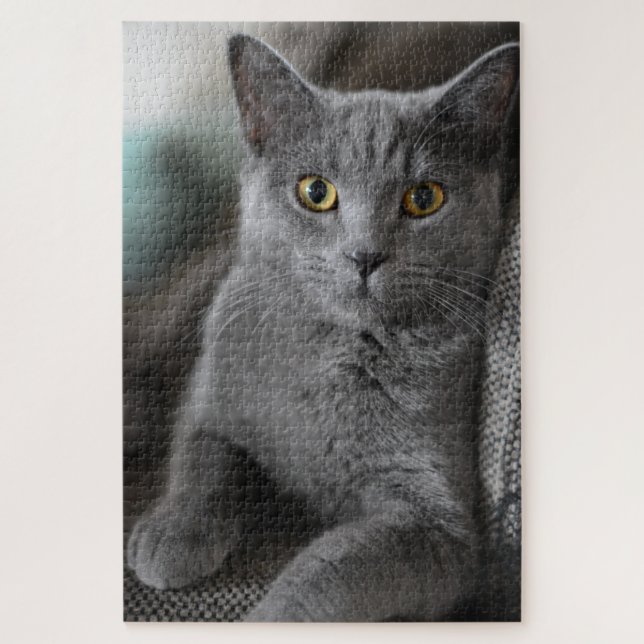 quebra-cabeça de gato (Vertical)