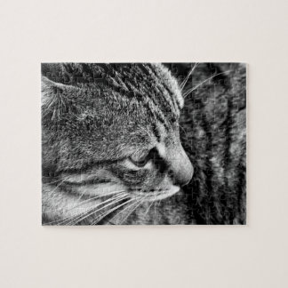 Quebra-cabeça de gato