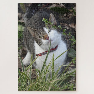 Quebra-cabeça de Gato Branco de Cinzas