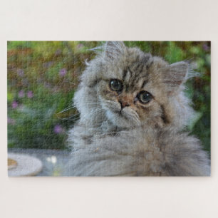 quebra-cabeça de gato fluffy